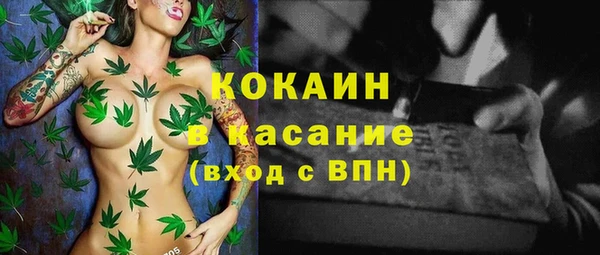 стаф Абаза