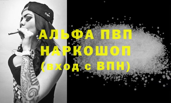 стаф Абаза