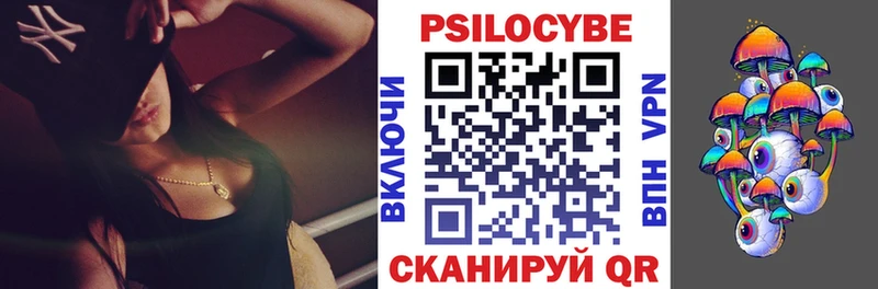 Псилоцибиновые грибы Psilocybine cubensis  Сысерть 